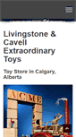 Mobile Screenshot of extraordinarytoys.com